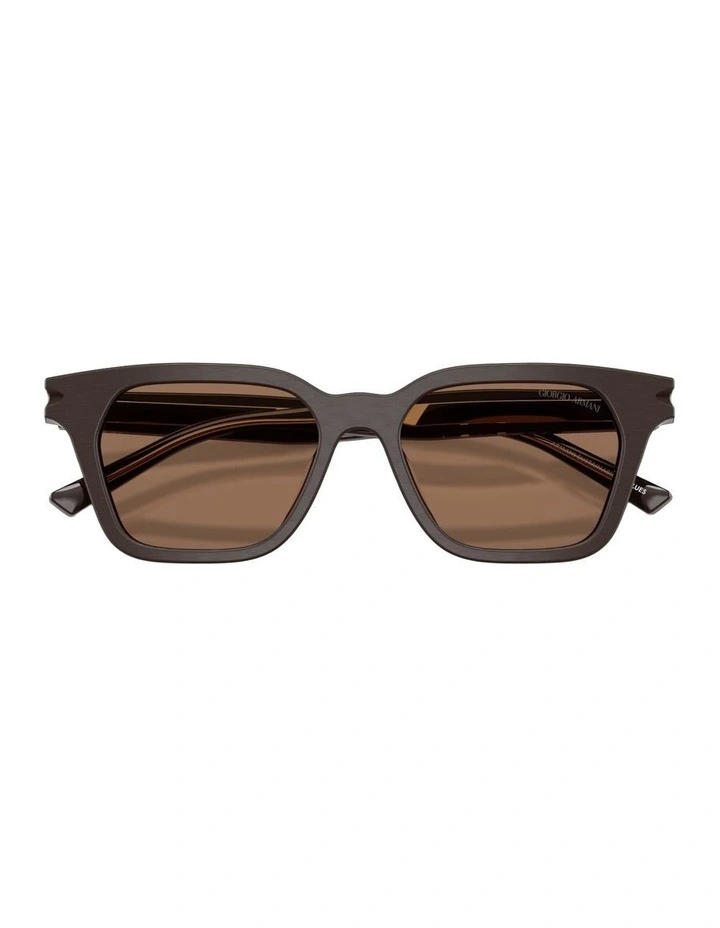 Acetate Sunglasses in Brown image 4