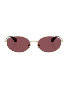 Metal Polarised Sunglasses in Gold
