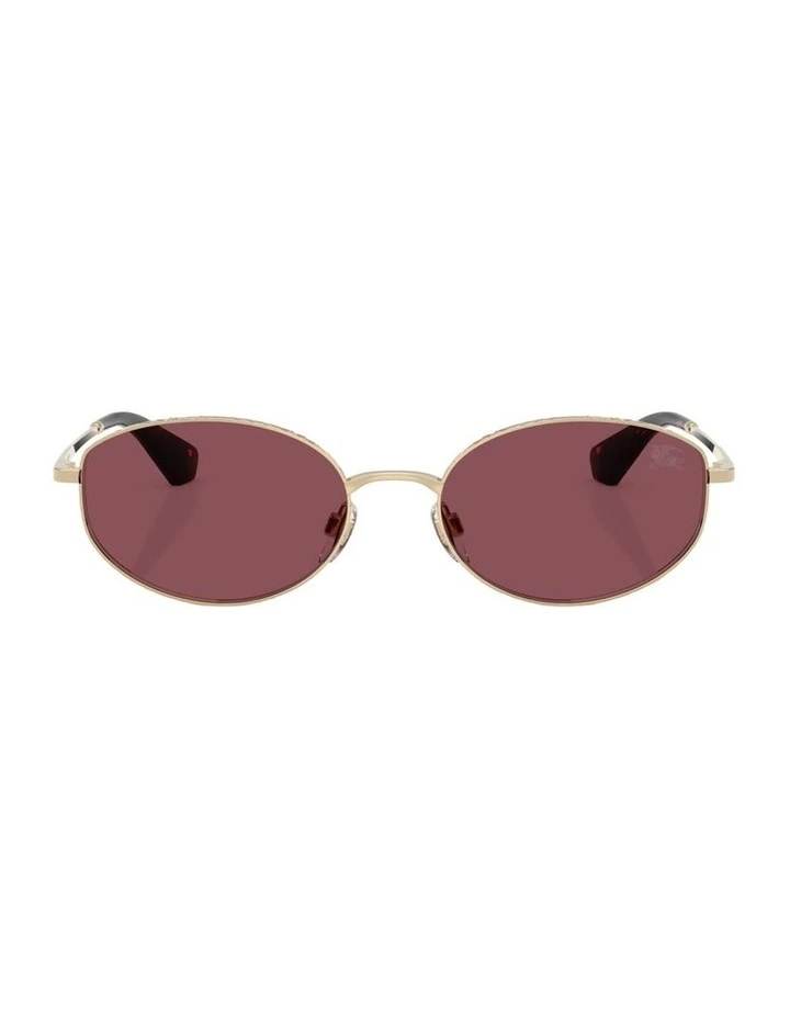 Metal Polarised Sunglasses in Gold image 1