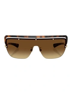 Metal Sunglasses in Brown