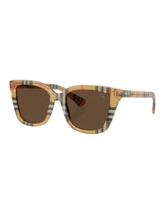 Acetate Sunglasses in Brown