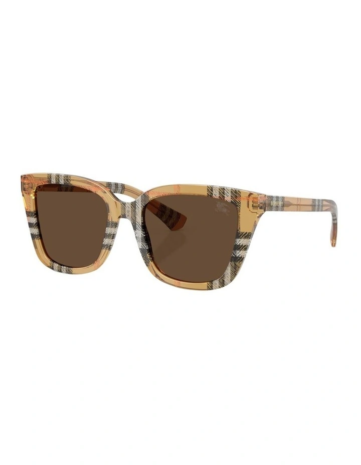 Acetate Sunglasses in Brown image 1