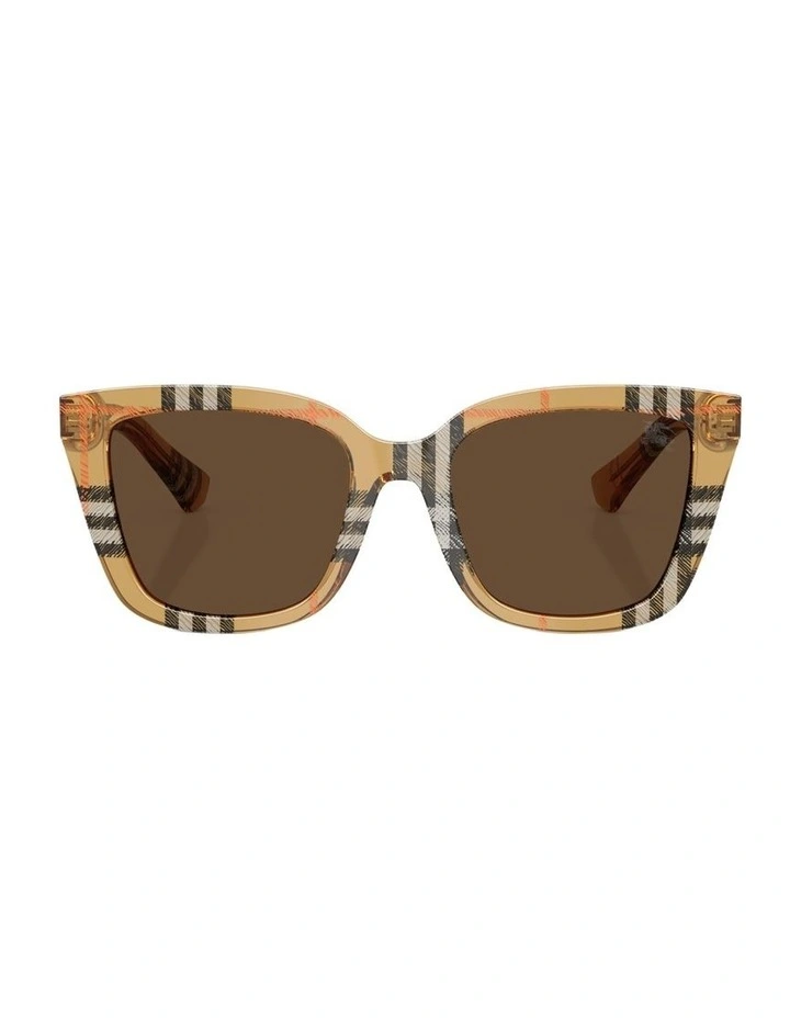 Acetate Sunglasses in Brown image 2