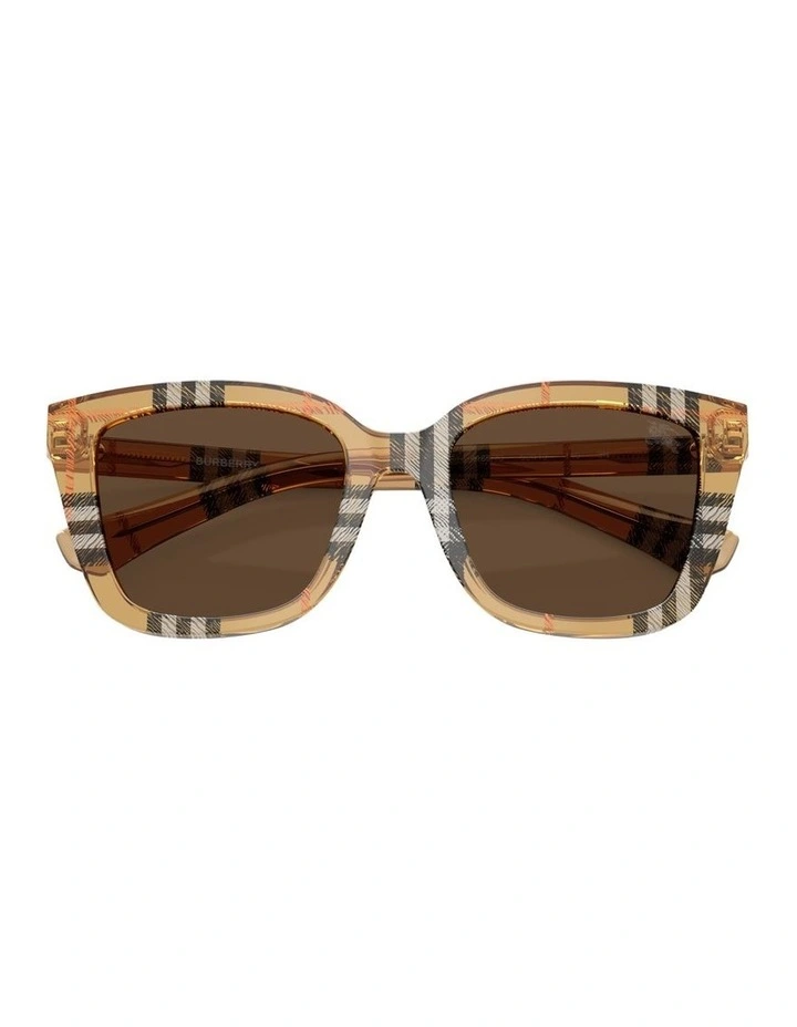 Acetate Sunglasses in Brown image 4