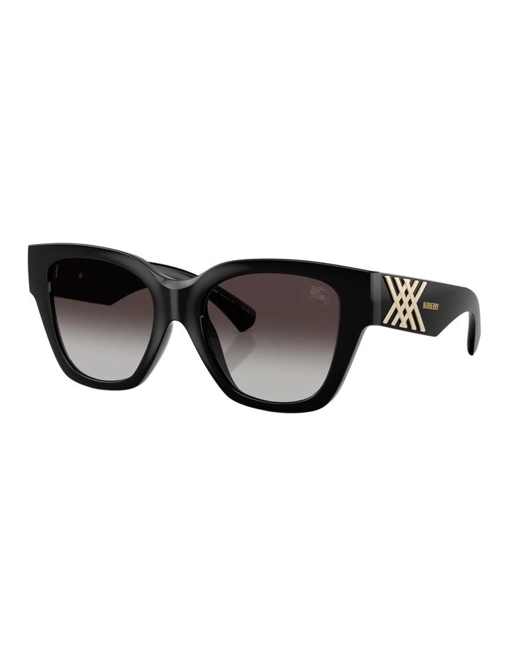 Injected Sunglasses in Black image 1