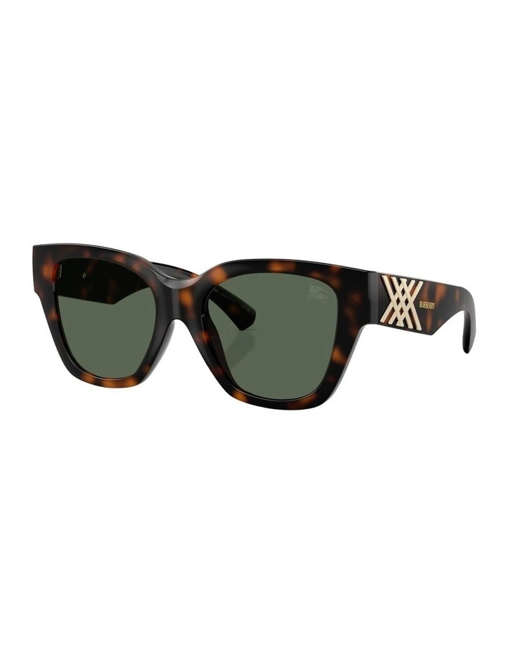 Injected Sunglasses in Brown image 1