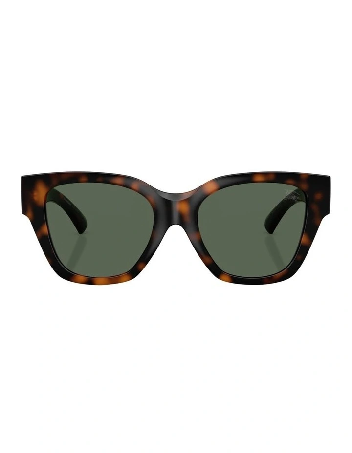 Injected Sunglasses in Brown image 2