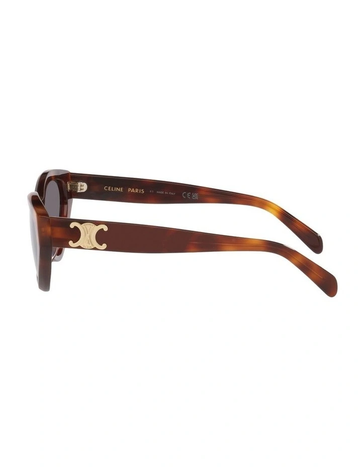 Triomphe Acetate Sunglasses CL40323U in Tortoise image 2