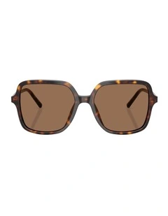 Acetate Sunglasses in Tortoise