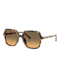 Acetate Sunglasses in Tortoise