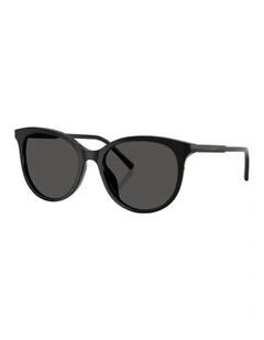 Acetate Sunglasses in Black