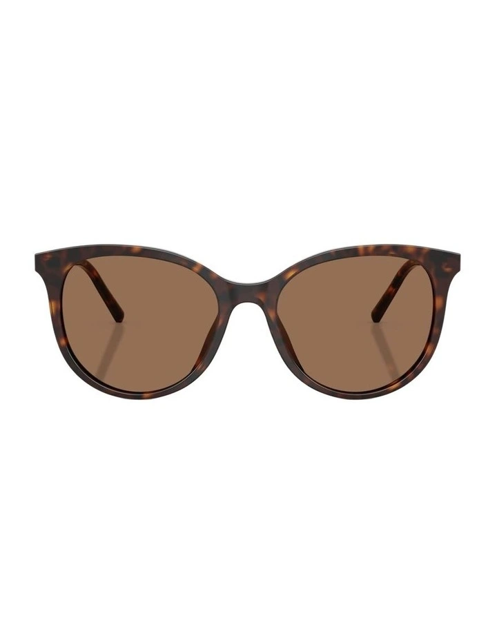 Acetate Sunglasses in Tortoise image 2