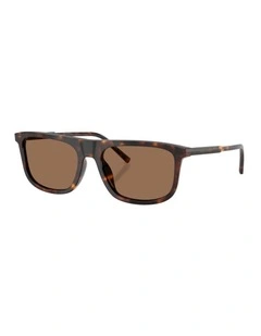 Acetate Sunglasses in Tortoise