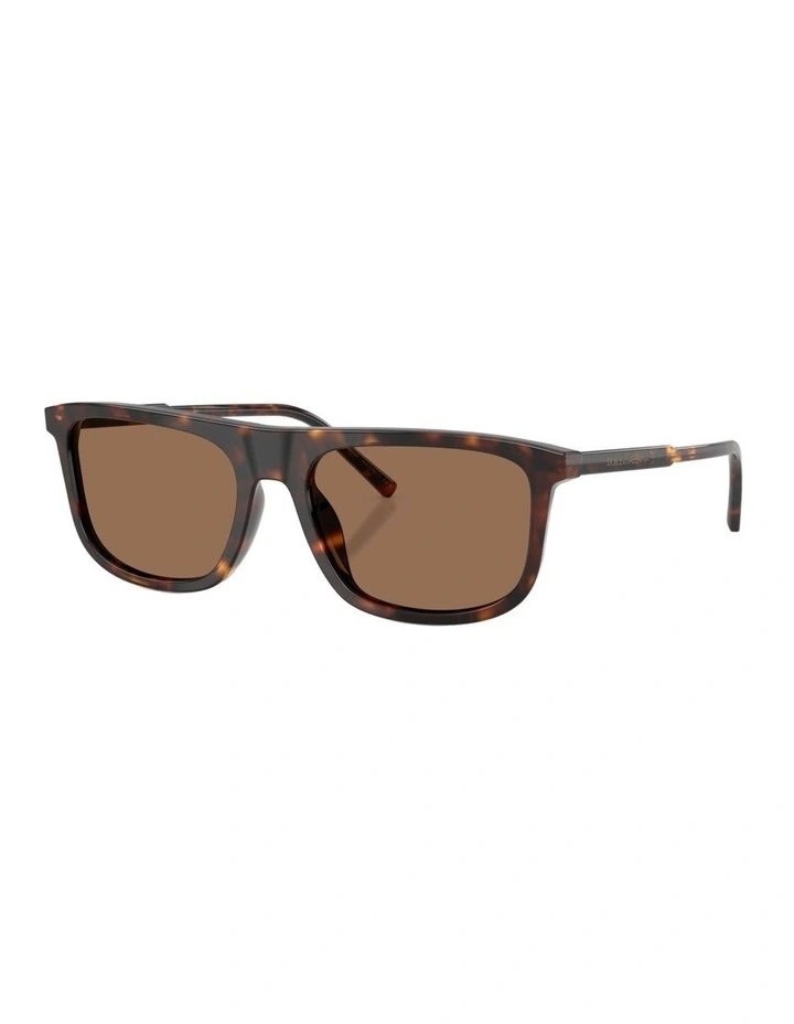 Acetate Sunglasses in Tortoise image 1
