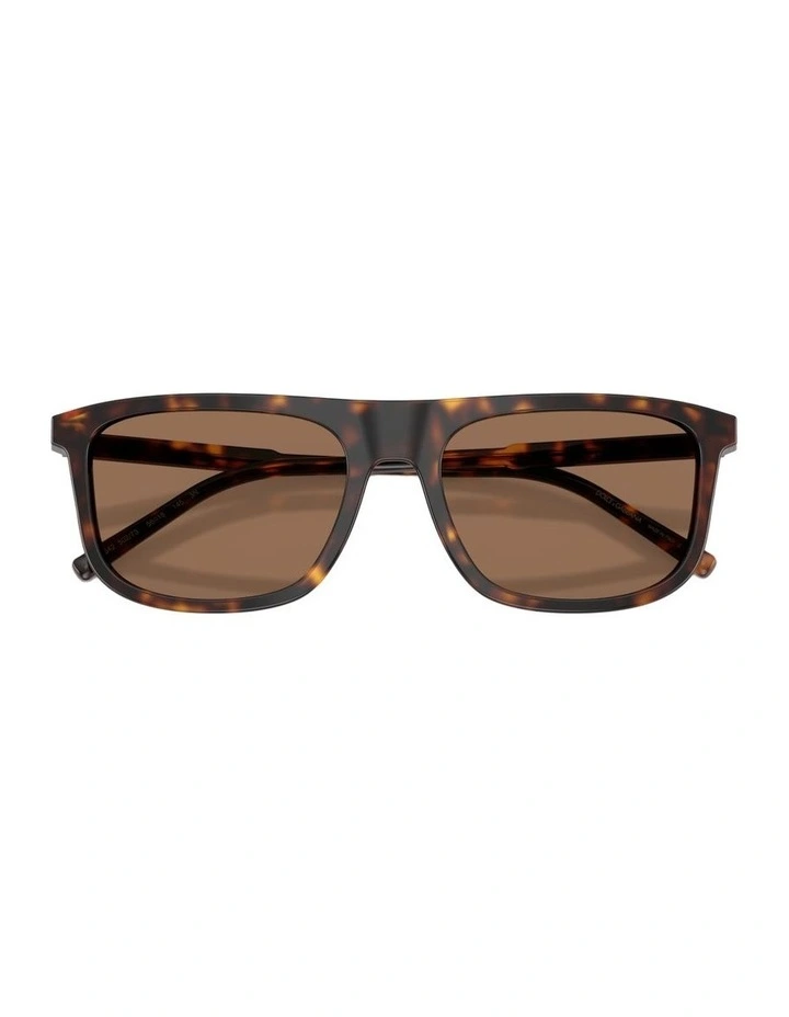 Acetate Sunglasses in Tortoise image 4