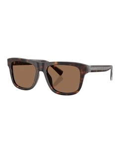 Acetate Sunglasses in Tortoise