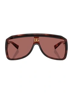 Injected Sunglasses in Tortoise