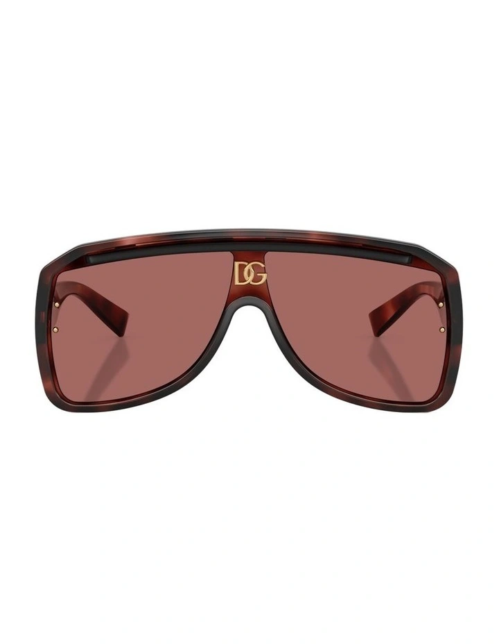 Injected Sunglasses in Tortoise image 1