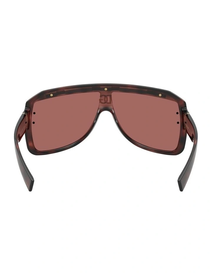 Injected Sunglasses in Tortoise image 2