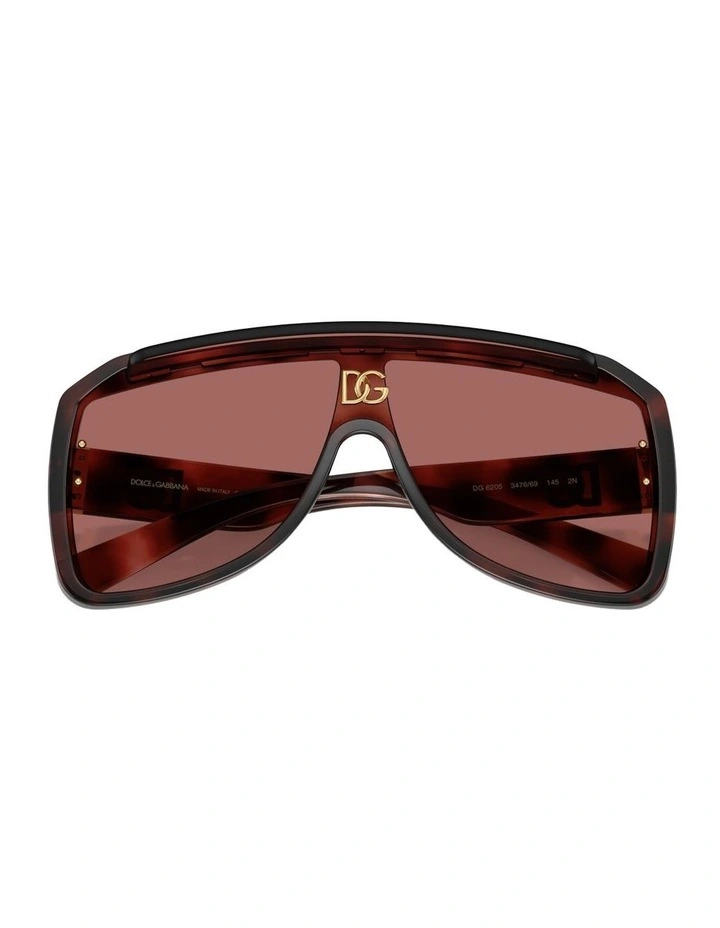 Injected Sunglasses in Tortoise image 3