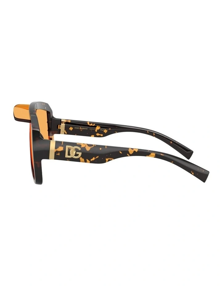 Injected Sunglasses in Tortoise image 2