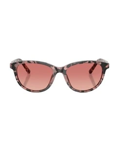 Acetate Sunglasses in Tortoise
