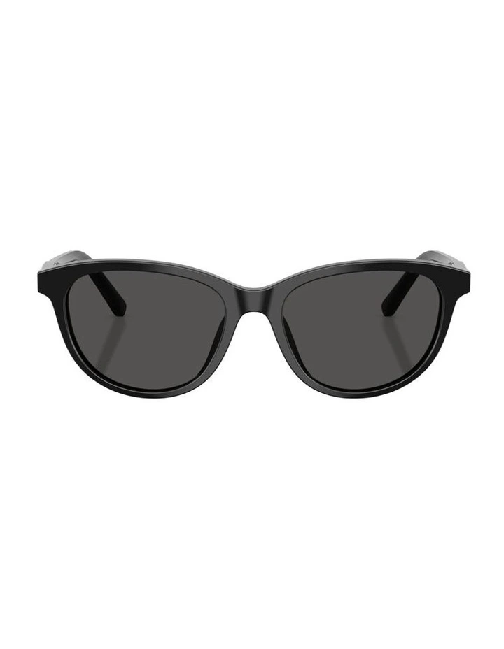 Acetate Sunglasses in Black image 2