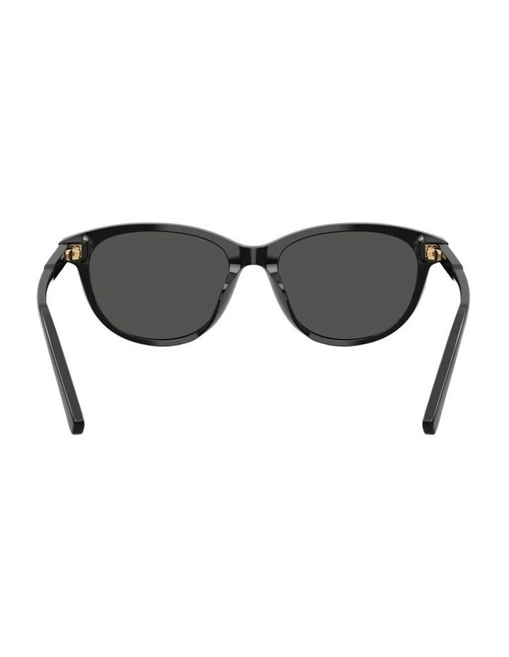Acetate Sunglasses in Black image 4