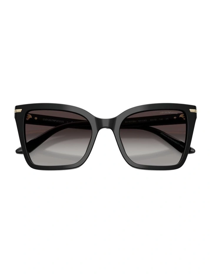 Acetate Sunglasses in Black image 4