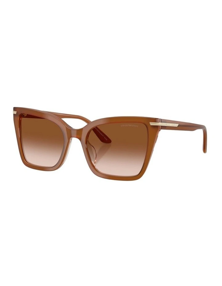 Acetate Sunglasses in Brown image 1