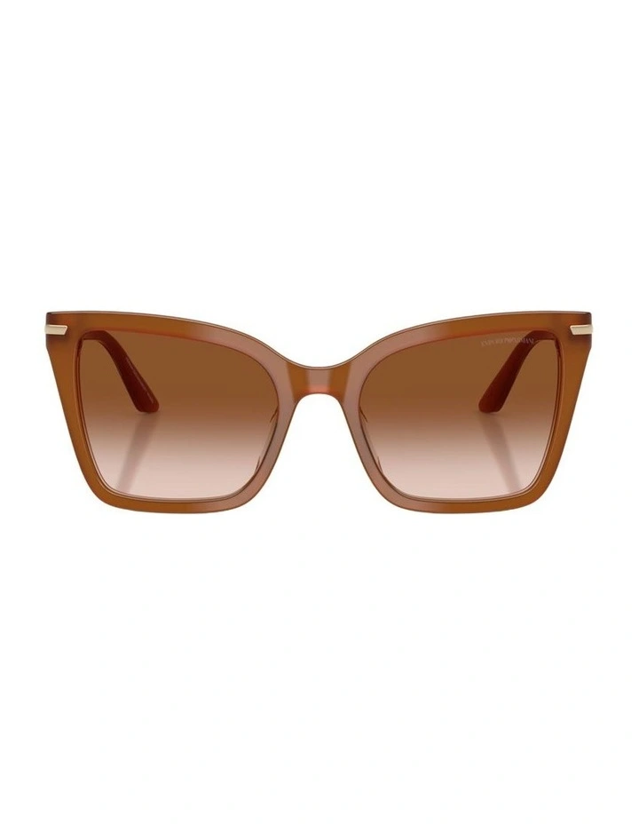 Acetate Sunglasses in Brown image 2