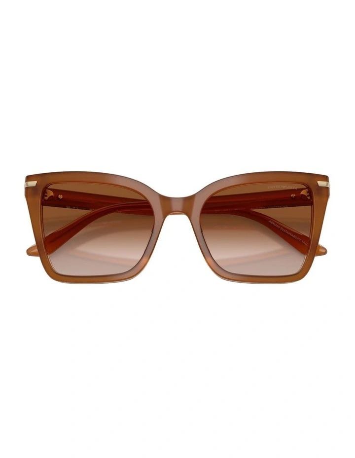 Acetate Sunglasses in Brown image 4