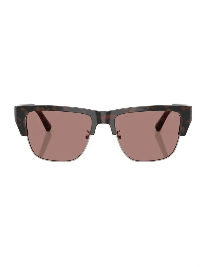 Acetate Sunglasses in Tortoise image 2