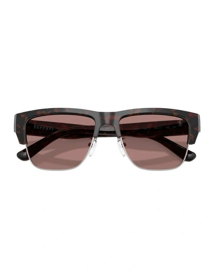 Acetate Sunglasses in Tortoise image 4