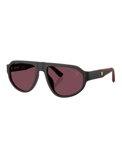 Acetate Sunglasses in Black