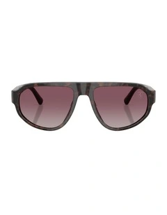 Acetate Polarised Sunglasses in Tortoise