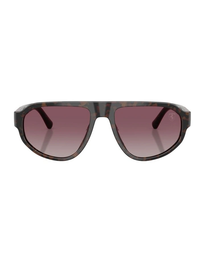Acetate Polarised Sunglasses in Tortoise image 1