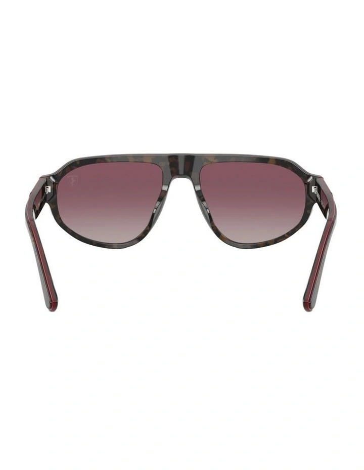 Acetate Polarised Sunglasses in Tortoise image 2