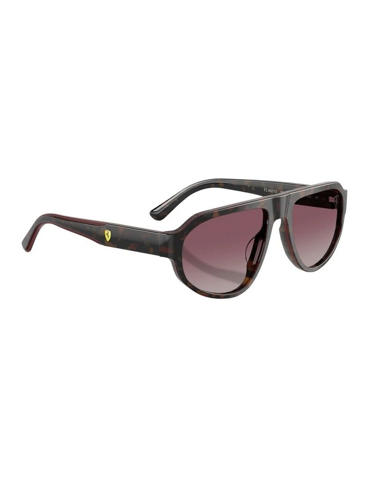 Acetate Polarised Sunglasses in Tortoise image 5