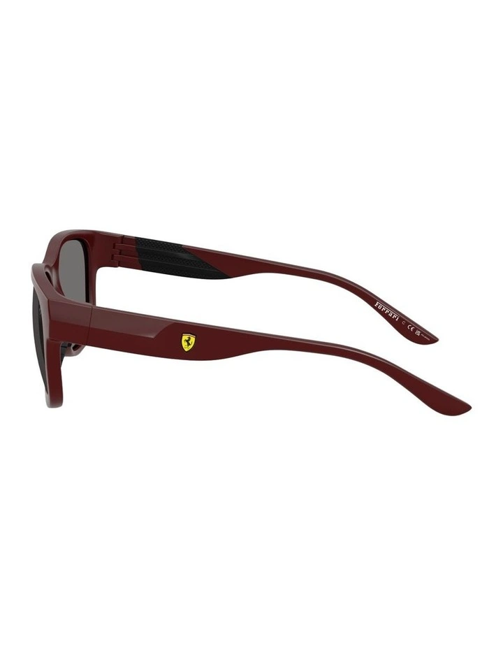 Injected Polarised Sunglasses in Bordeaux image 2