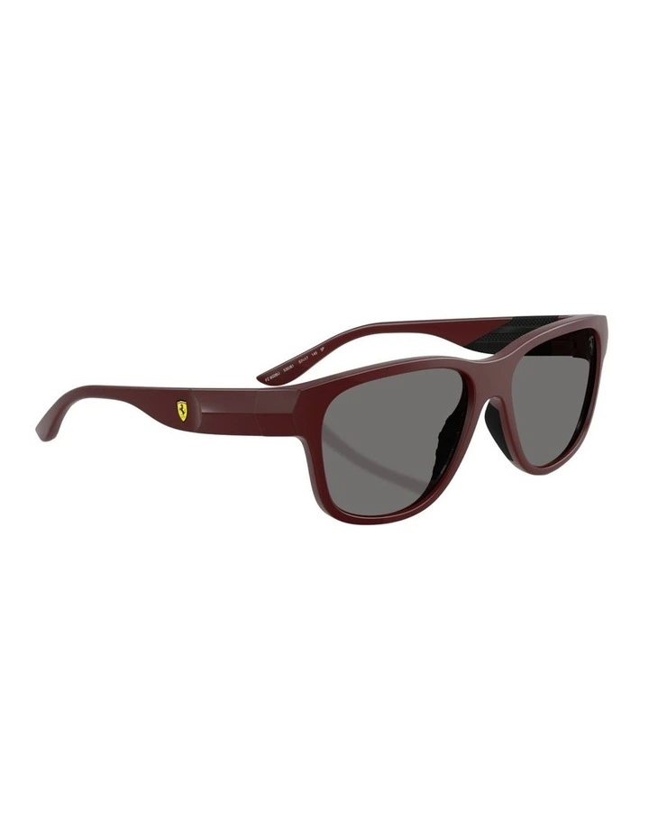Injected Polarised Sunglasses in Bordeaux image 4