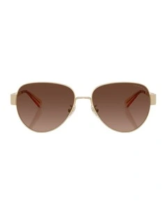 Metal Polarised Sunglasses in Gold