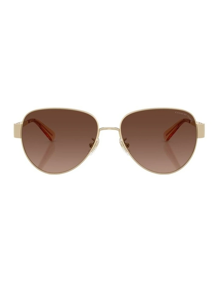 Metal Polarised Sunglasses in Gold image 1
