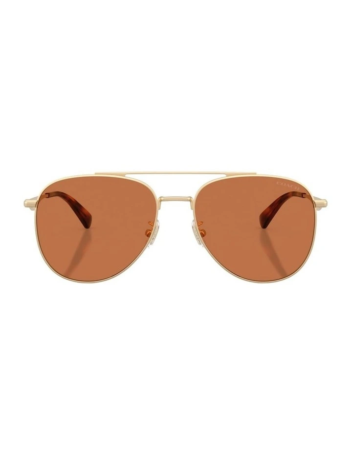 Metal Sunglasses in Gold CDP40 image 2