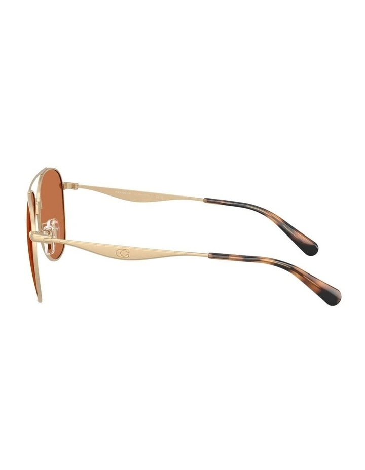 Metal Sunglasses in Gold CDP40 image 3