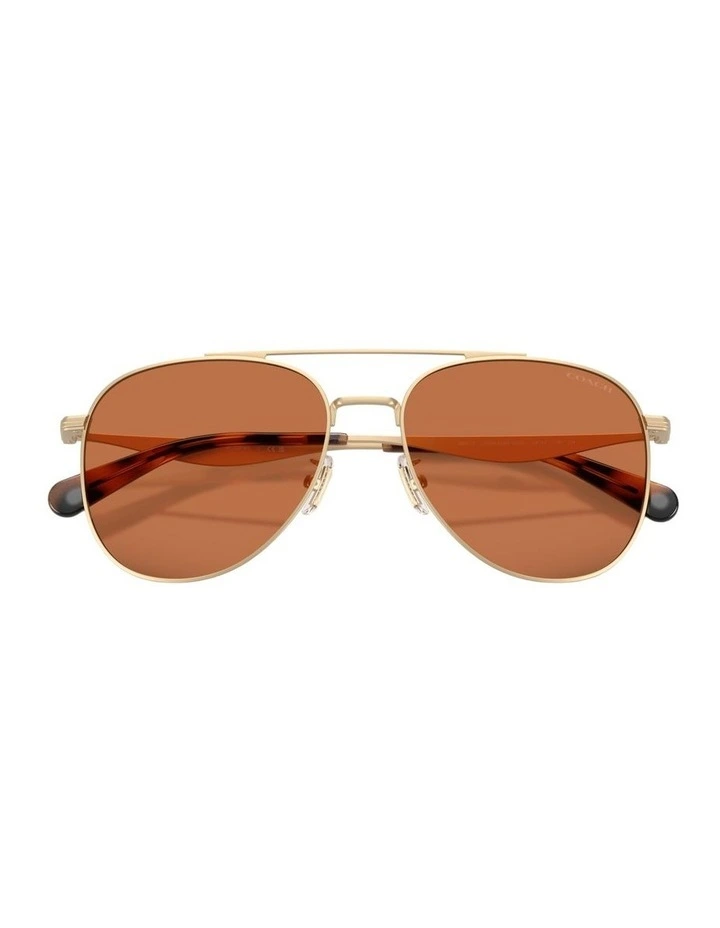 Metal Sunglasses in Gold CDP40 image 4