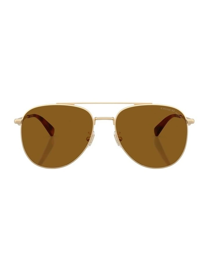 Metal Polarised Sunglasses in Gold CDP40 image 2