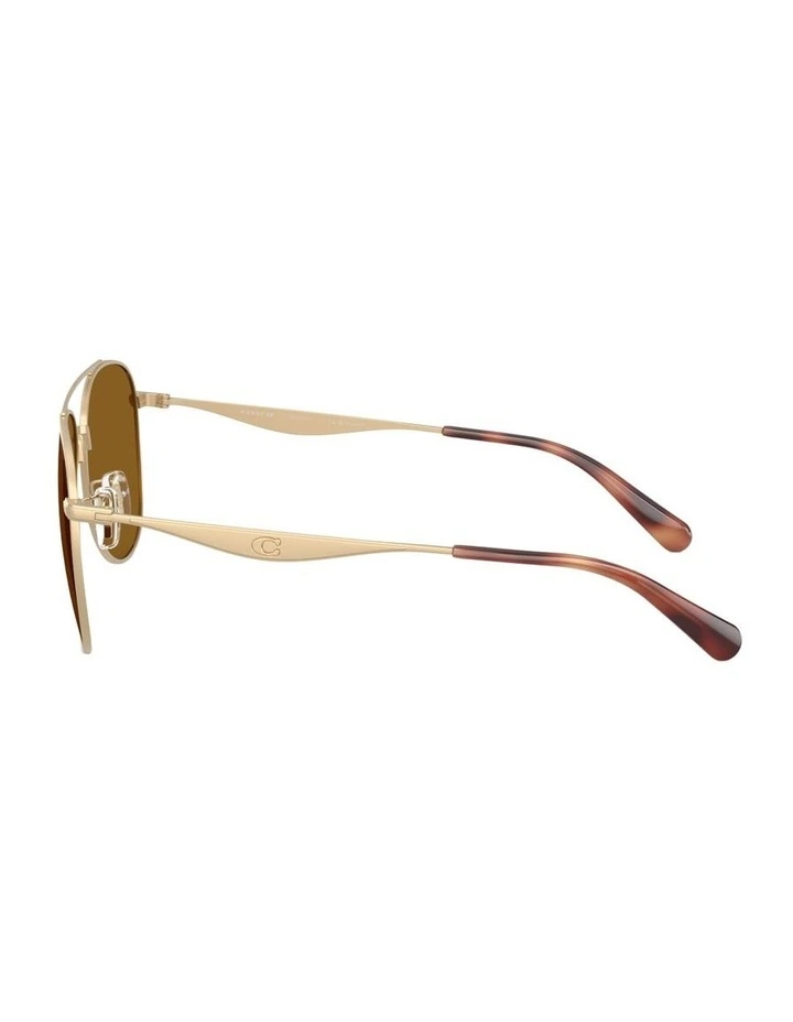 Metal Polarised Sunglasses in Gold CDP40 image 3