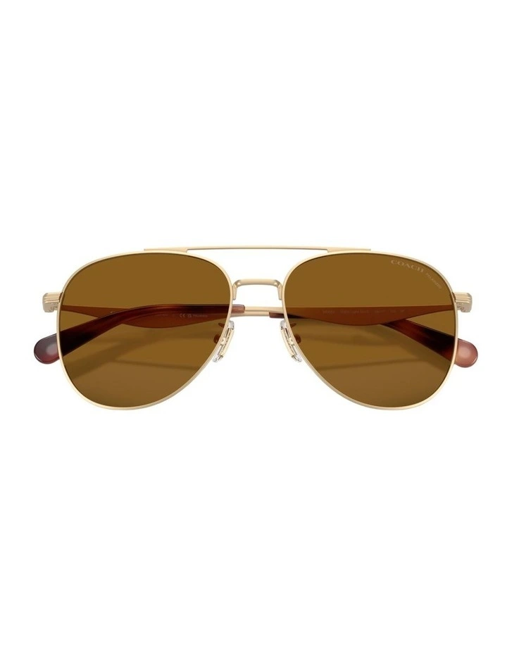 Metal Polarised Sunglasses in Gold CDP40 image 4