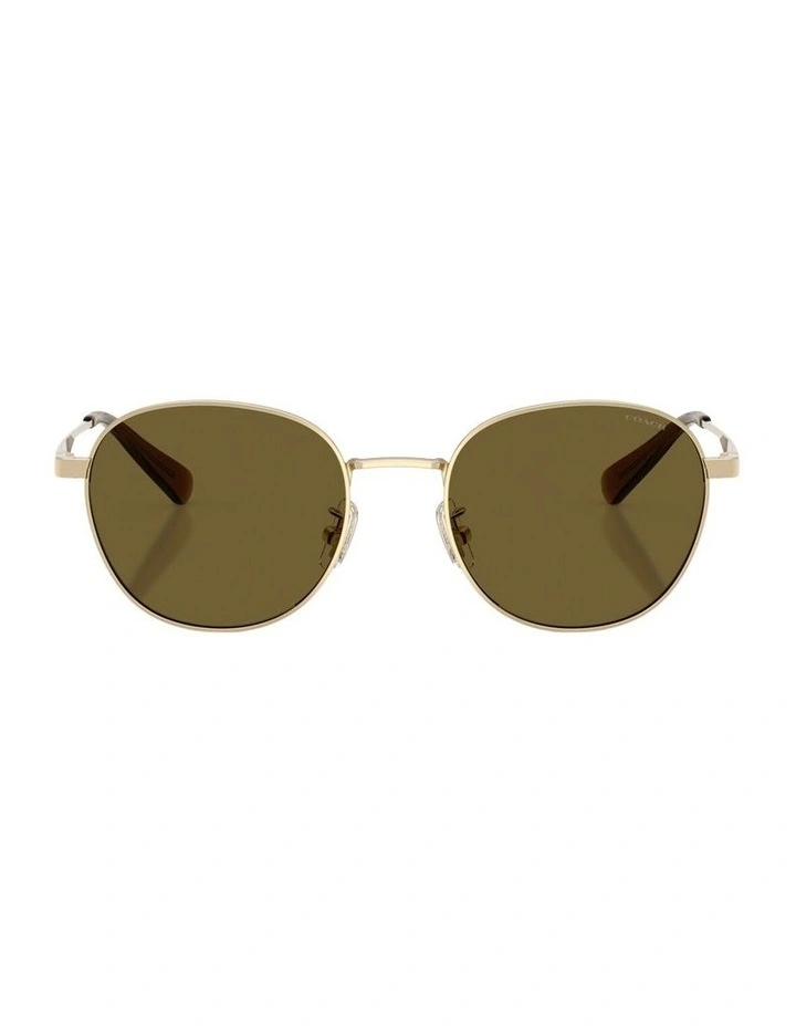 Metal Sunglasses in Gold CDP36 image 1